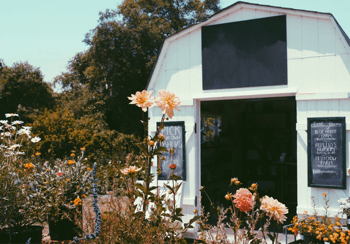 Cafe Store Sign Mockup