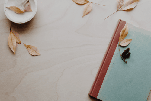 Journal Mockup With Leaves